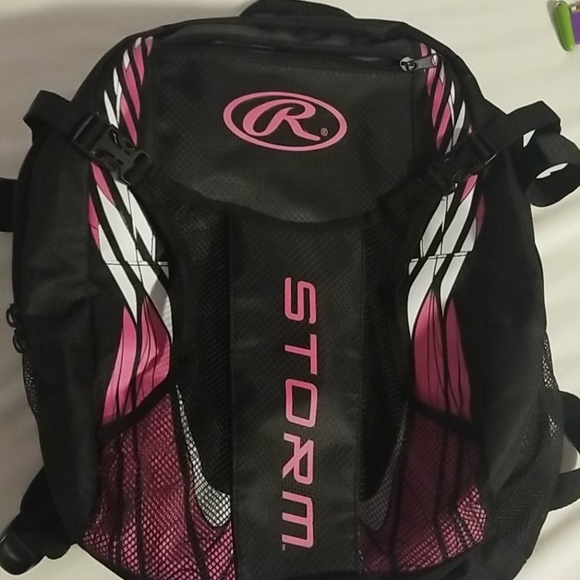Rawlings Other - Rawlings Storm bat bag